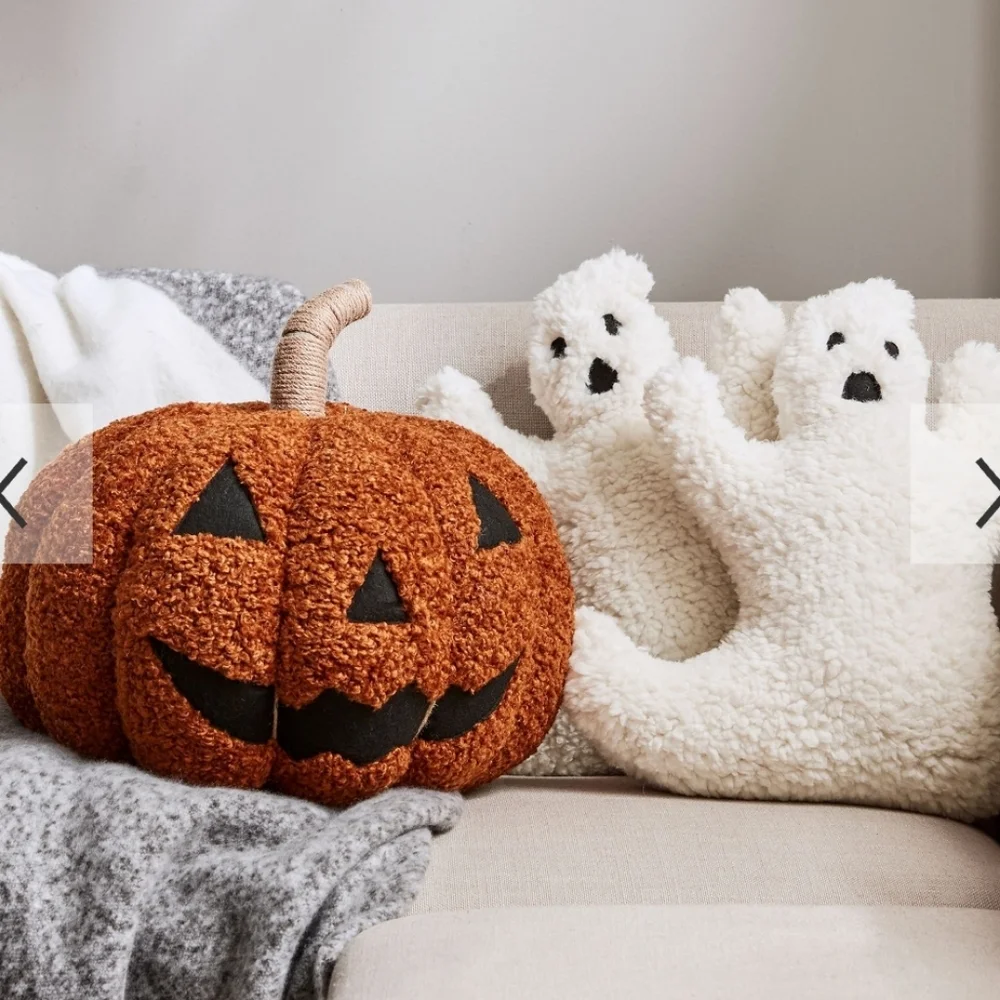 NWT Pottery Barn Ghost White Sherpa Pillow Sold Out Online